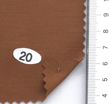 20 Camel