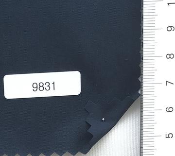 9831 Navy