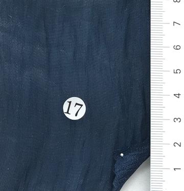 17 Navy