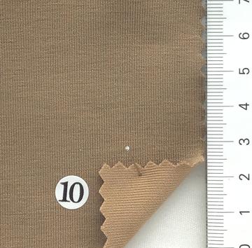 10 Camel