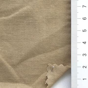 5 Camel
