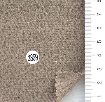 2859 Beige