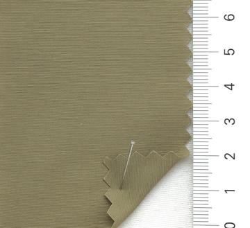 25 Camel