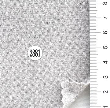 2881 Gray