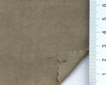 99999 Beige