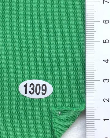 1309 Green