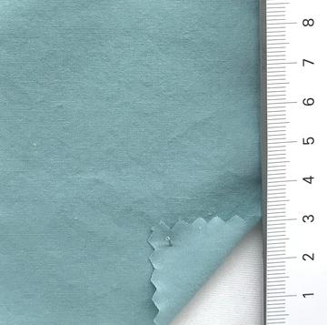 10 Pale Green
