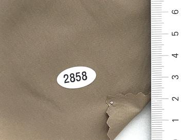 2858 Beige