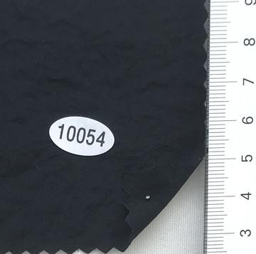 10054 Black