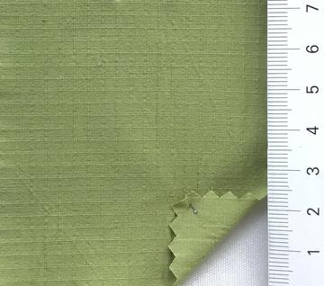 99999 Pale Green