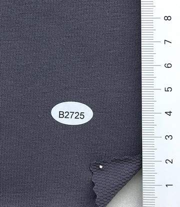 B2725 Purple