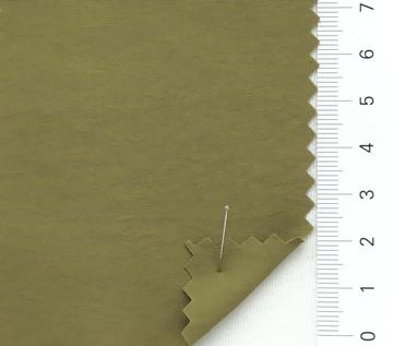 39 Camel
