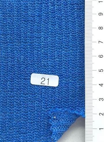 21 Blue