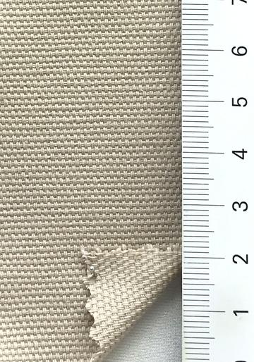 Cotton Canvas