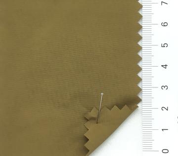 24 Camel