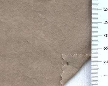 99999 Beige
