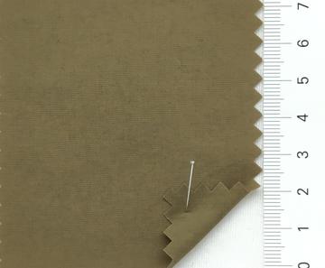34 Camel