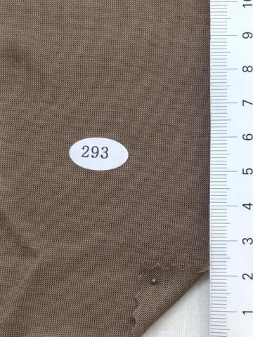 293 Brown