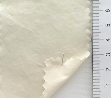 99999 Ivory