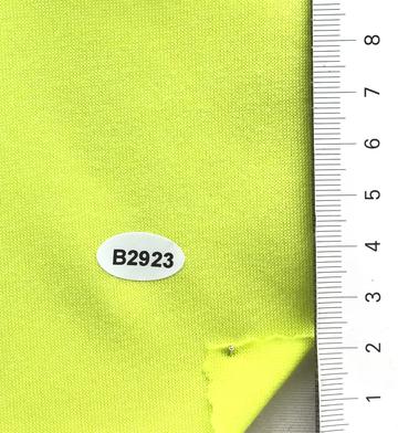B2923 Pale Green