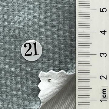 21 Pale Blue