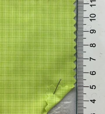 30 Pale Green