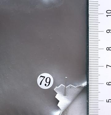 79 Silver