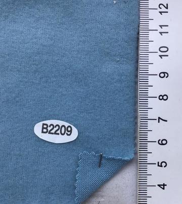 B2209 Pale Blue