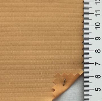 31 Camel