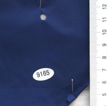 9165 Blue