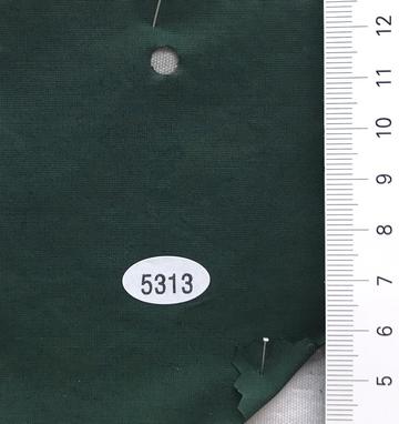 5313 Deep Green