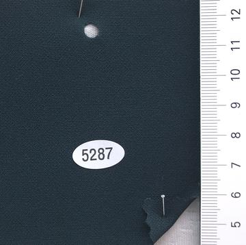 5287 Deep Green