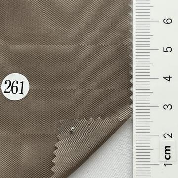 261 Gray