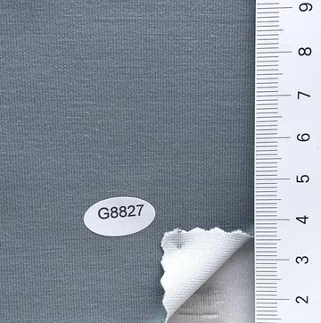 G8827 Pale Blue