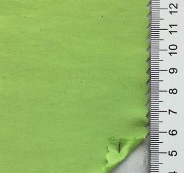 99999 Pale Green