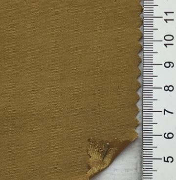 99999 Camel