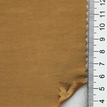 99999 Camel