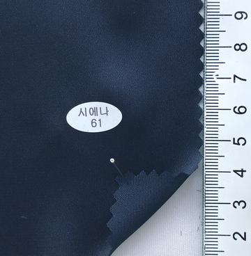 61 Navy