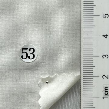 53 Ivory