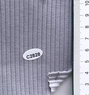 C2828 Gray