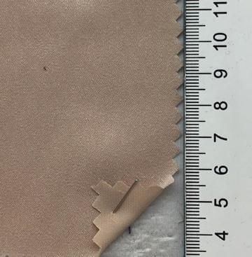309 Beige