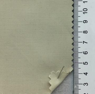 99999 Ivory