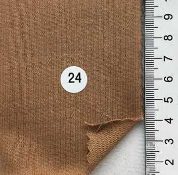 24 Camel