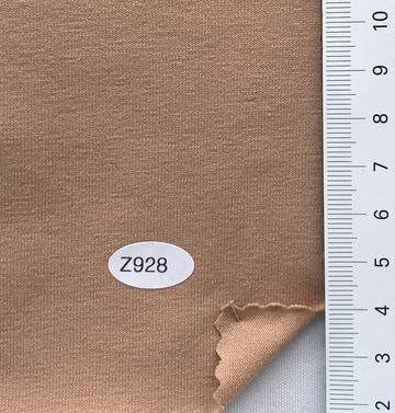 Z928 Camel