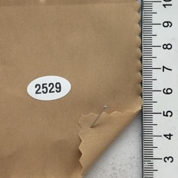 2529 Beige