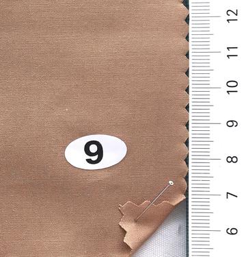 9 Camel