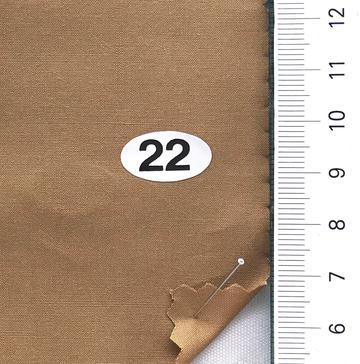 22 Camel