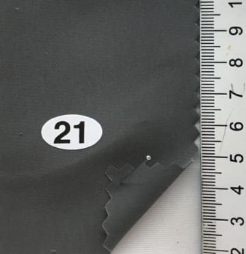 21 Gray