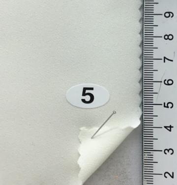 5 Ivory