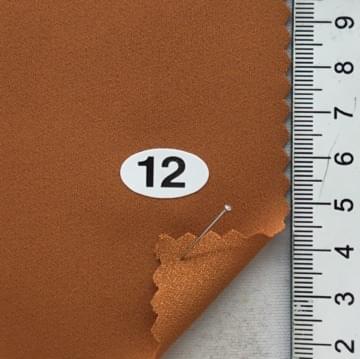 12 Camel